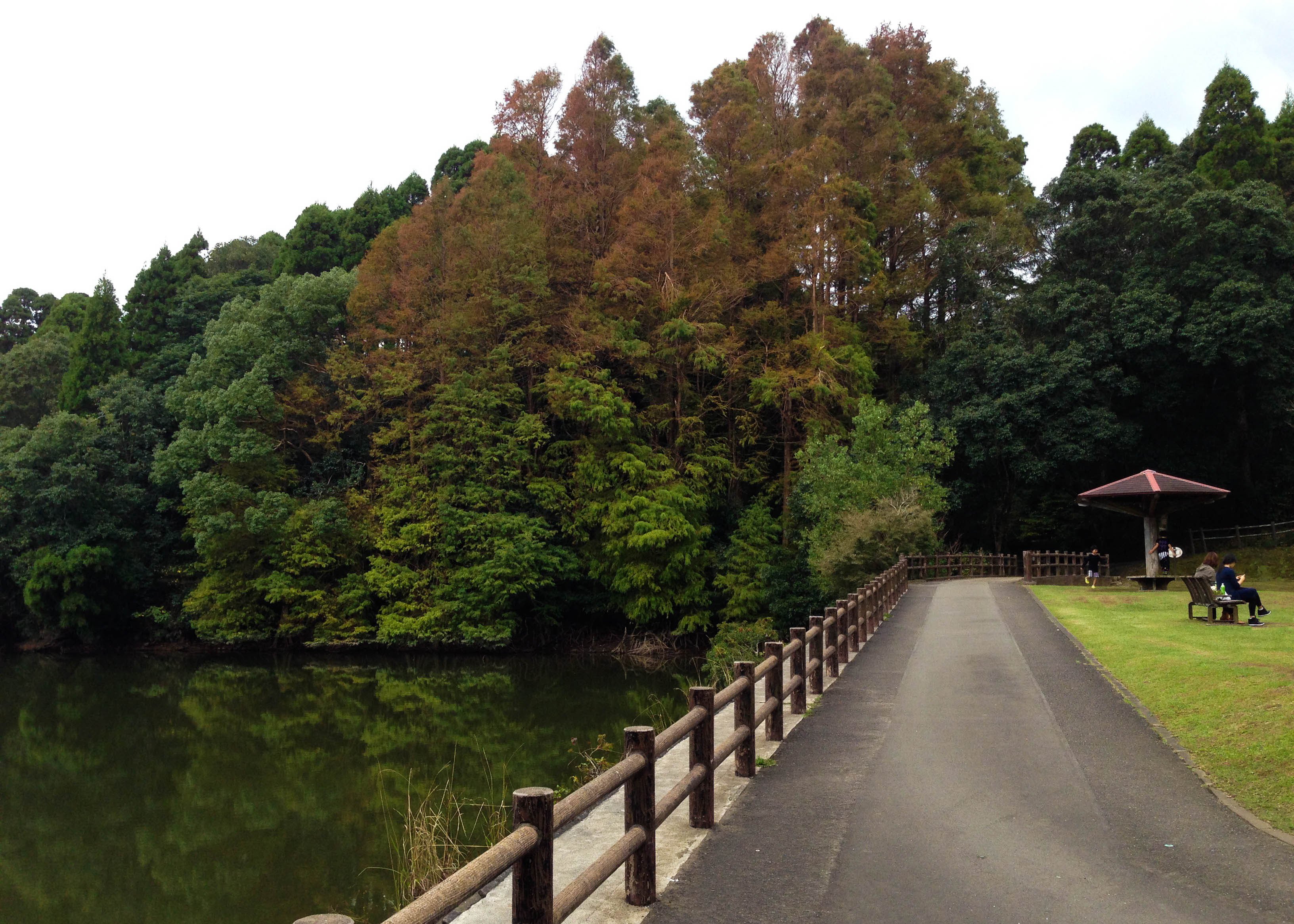 🏞️ 미야자키 현립 평화대 공원(미야자키 켄리츠 헤이와다이 코엔) 이미지 5